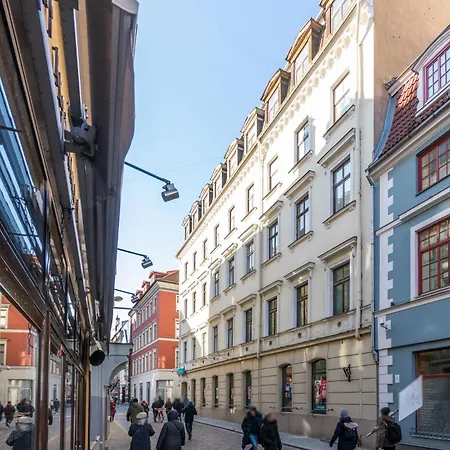 A++ Executive With Luxury Sauna 公寓 里加