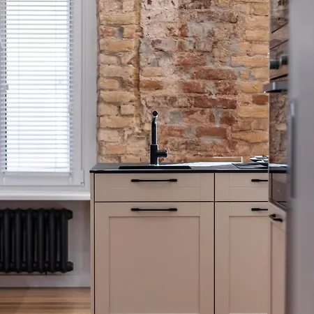 A++ Executive With Luxury Sauna Daire Riga